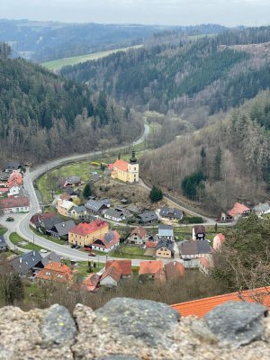 Pohled z hradu Svojanov