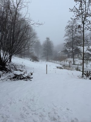 Pohled z okna Tomovy Boudy