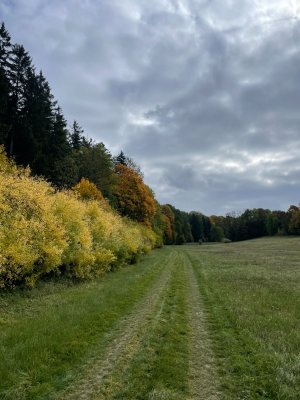 Cesta do Sebranic léto